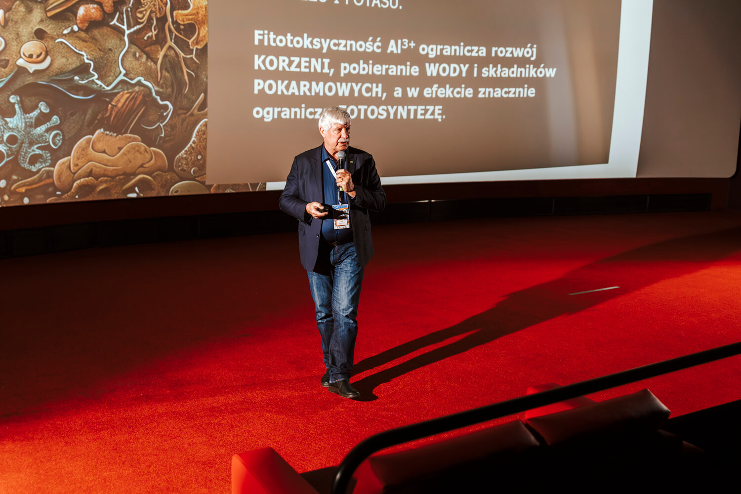 Galeria – zdjęcie 13